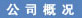 山西兰花科技创业股份有限公司