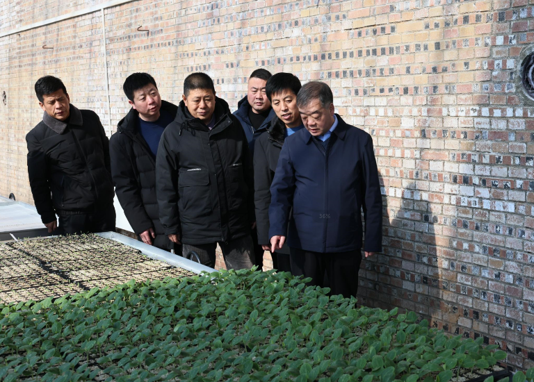 刘海山唐安1.png 刘海山唐安1.png